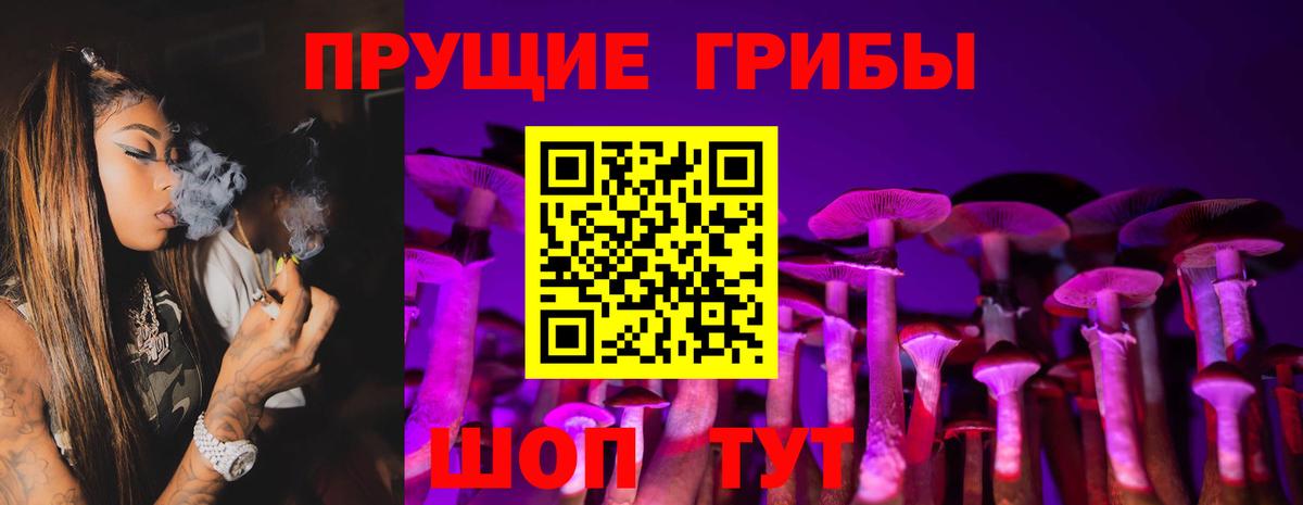 Галлюциногенные грибы Psilocybe Тихорецк