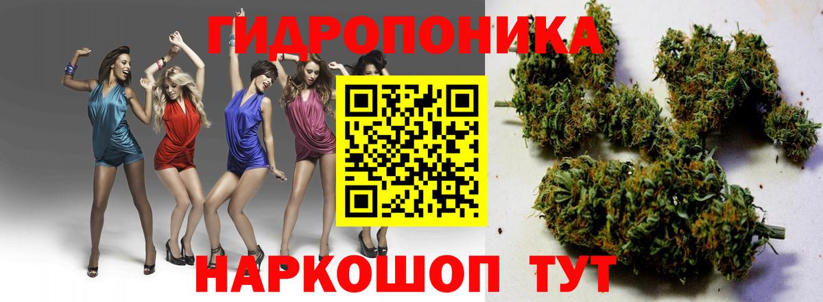 Марихуана тримм  Каннабис индика  Тихорецк  Вход с VPN  Шишки марихуана MAZAR  Бошки марихуана конопля 